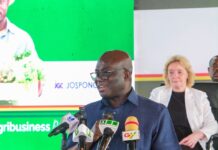 MoFA to Support reintegration of RUDN graduates to drive Feed Ghana Agenda