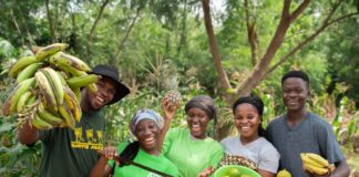 Invest In Africa opens applications for Green Enterprise Programme in Ghana