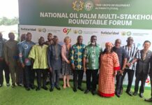Government Targets 100,000 Hectares of New Oil Palm Plantations to Reset Industry