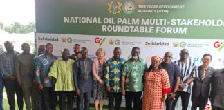 Government Targets 100,000 Hectares of New Oil Palm Plantations to Reset Industry
