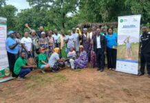 Ghana Wildlife Society, Côte D’Ivoire Women Champions explore cashew value addition at Bunyanso Farms