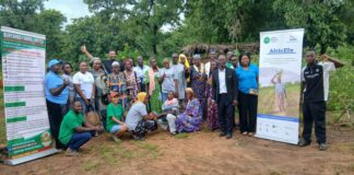 Ghana Wildlife Society, Côte D’Ivoire Women Champions explore cashew value addition at Bunyanso Farms