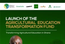 MoFA to launch the Agricultural Education Transformation Fund to finance skills development