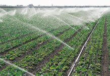 Government to rehabilitate 22 irrigation schemes in Volta by 2027 to enhance food production