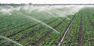 Government to rehabilitate 22 irrigation schemes in Volta by 2027 to enhance food production