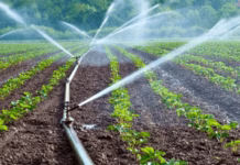 Government to rehabilitate 22 irrigation schemes in Volta by 2027 to enhance food production